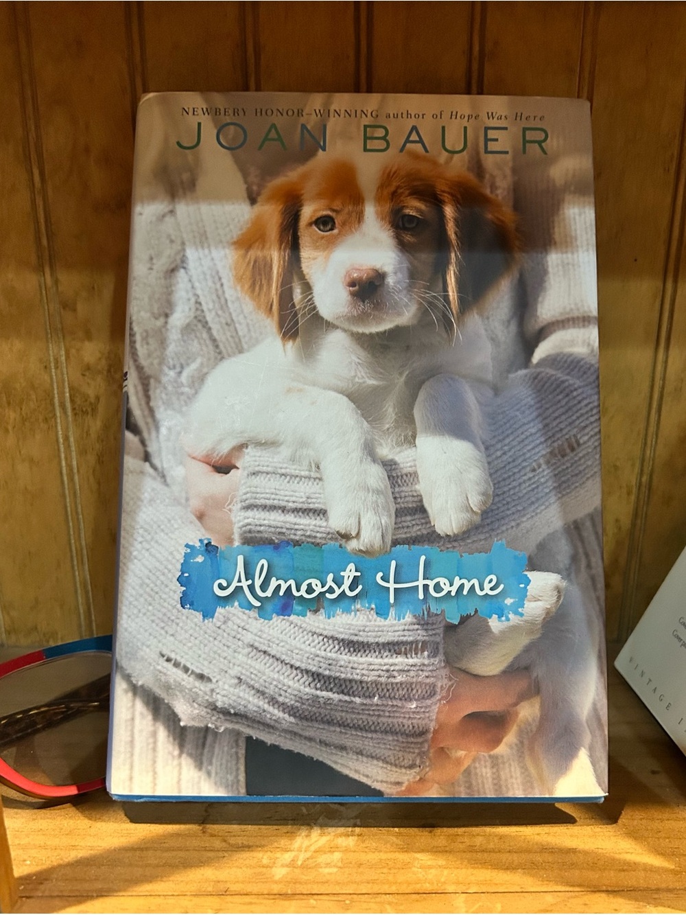 Ages 9-12 years old “Almost Home" Hardcover Book - Picture 1 of 2